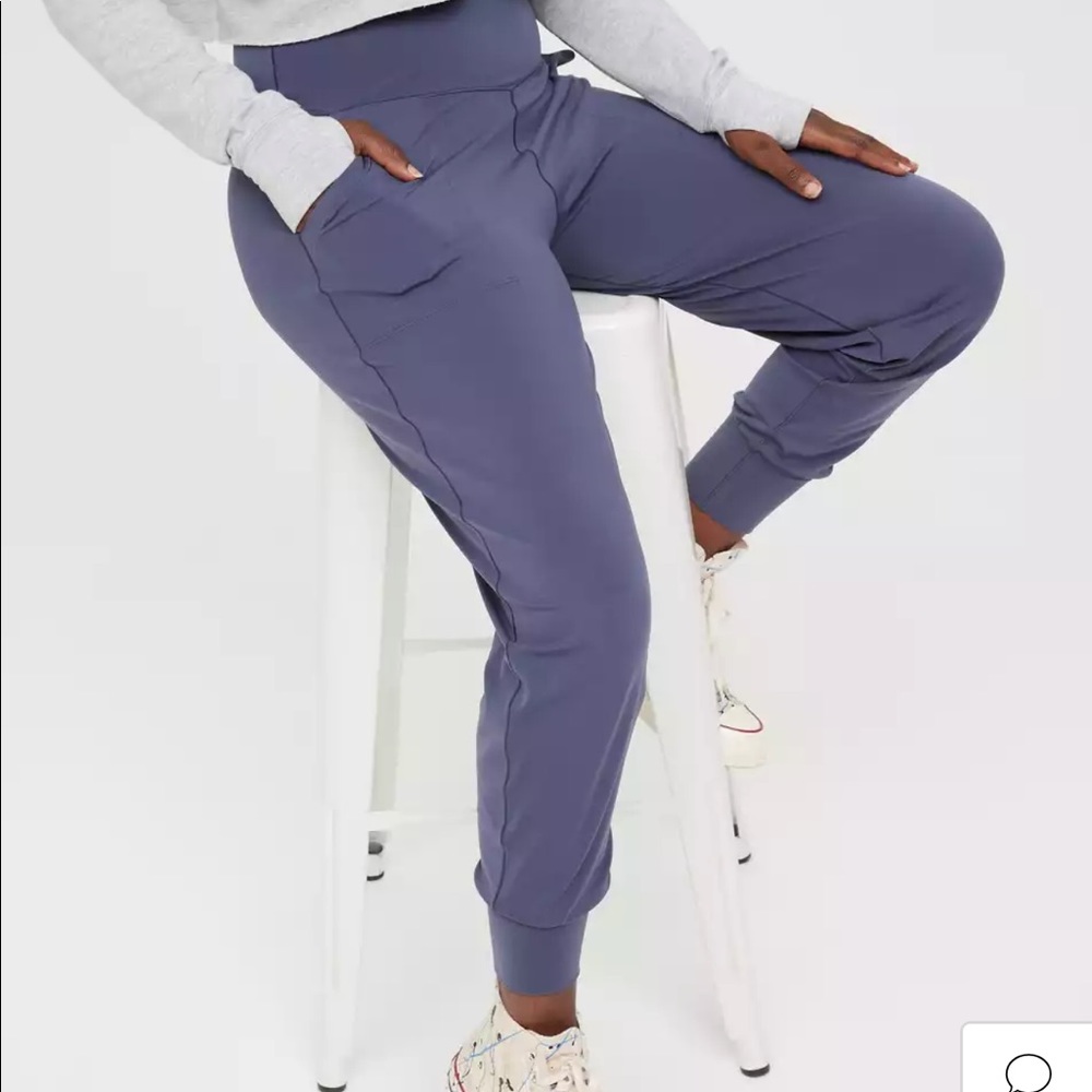 OFFLINE By Aerie Real Me Jogger (blue/navy joggers s)